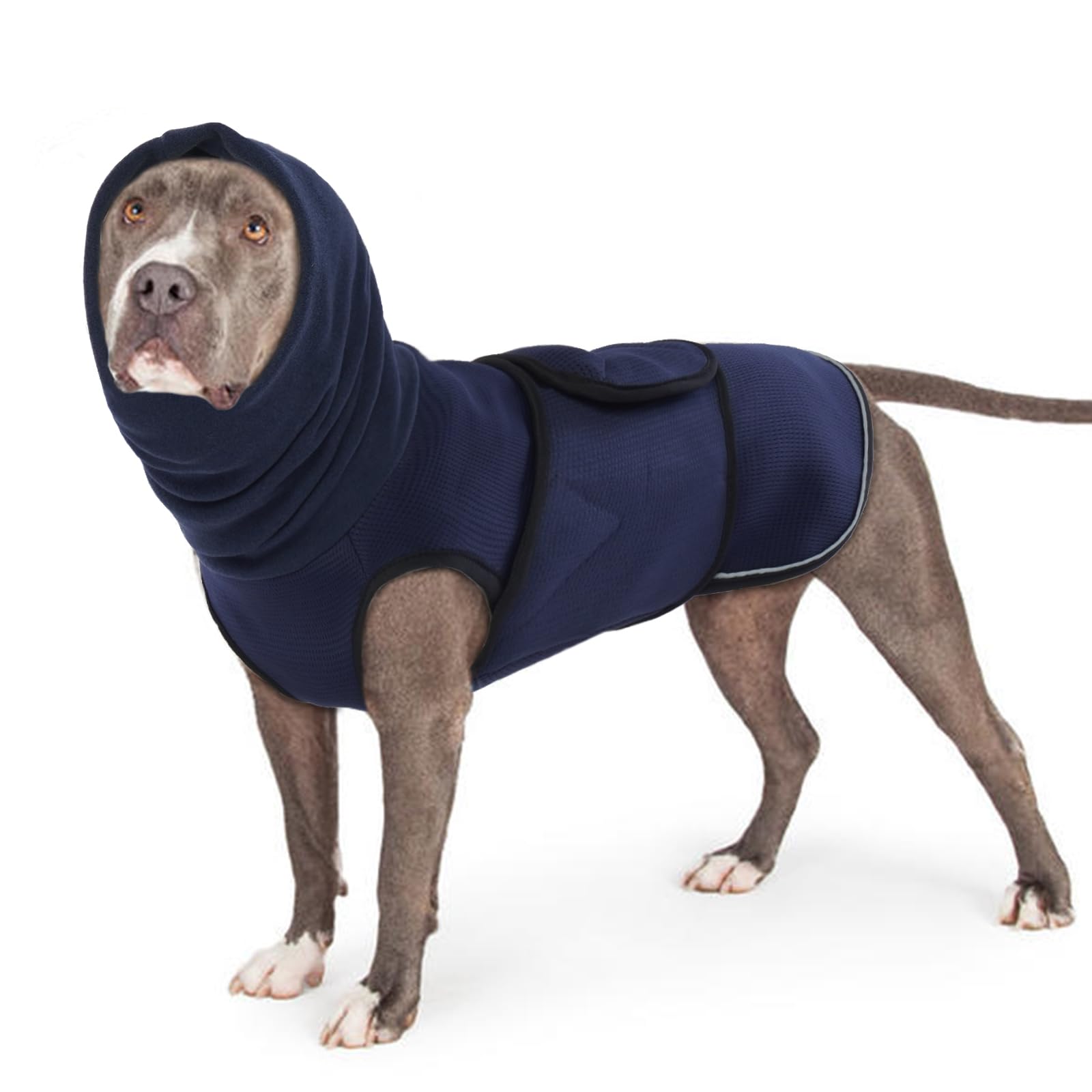 Dog Calming Anxiety Vest