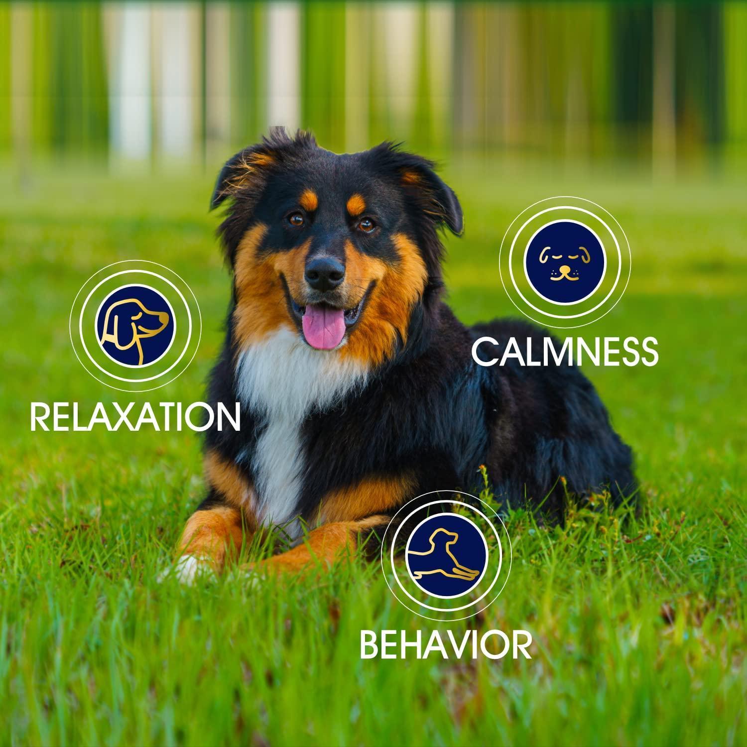 Hemp Calming Chews for Dogs