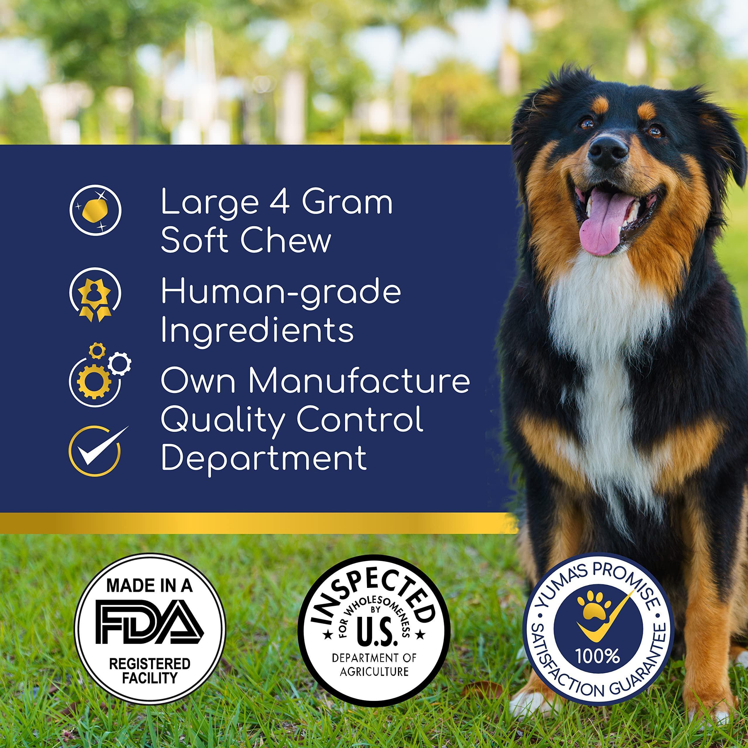 Hemp Calming Chews for Dogs